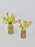 Cloni Passion Vase Set