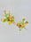 Cloni Passion Vase Set
