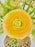 Cloni Passion Vase Set