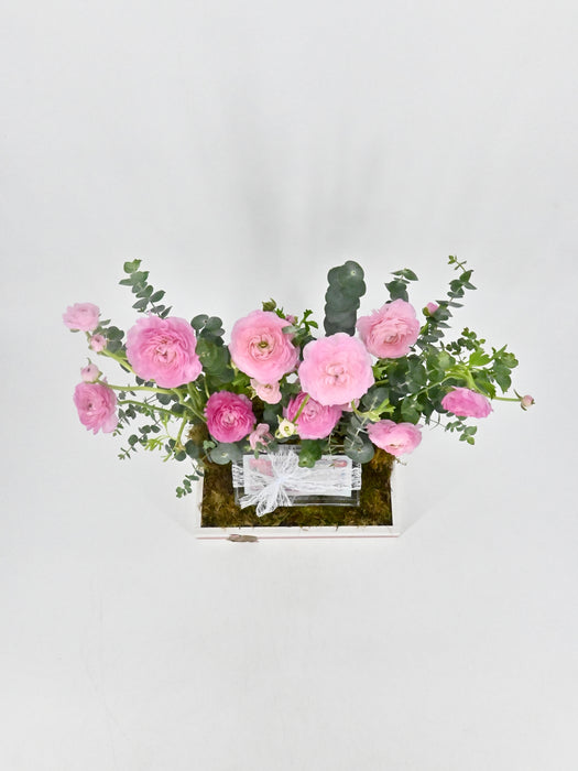 Ranunculus Garden