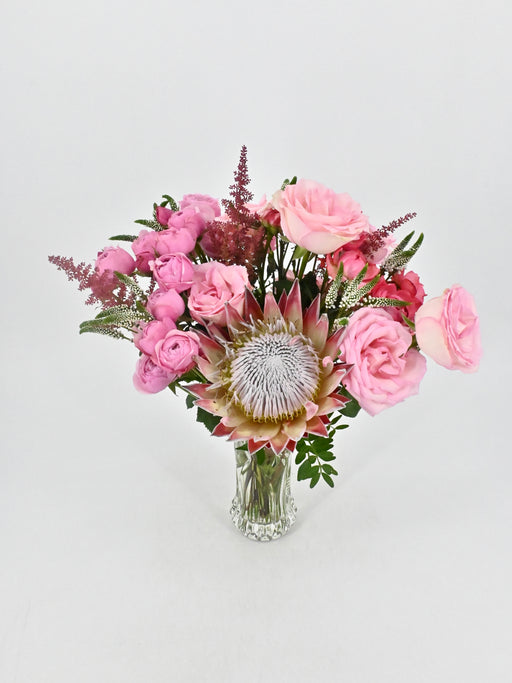 Protea