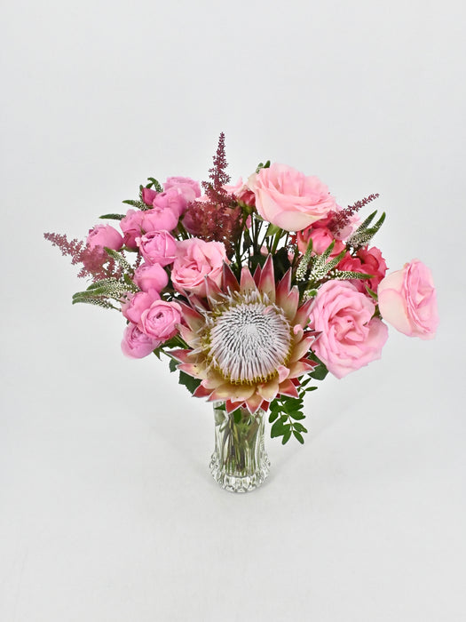 Protea