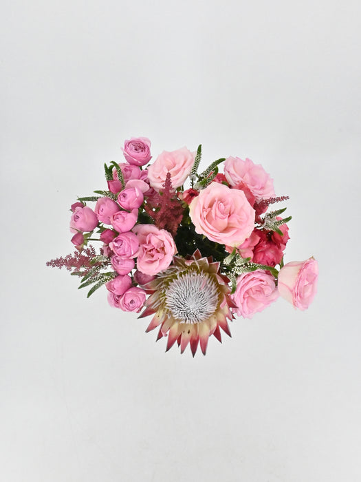 Protea