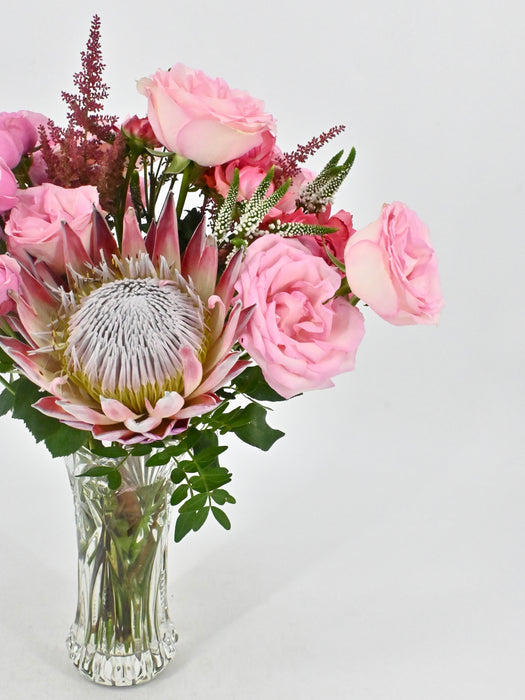 Protea