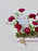 Cloni Money Arrangement