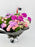 Graduation Bouquet