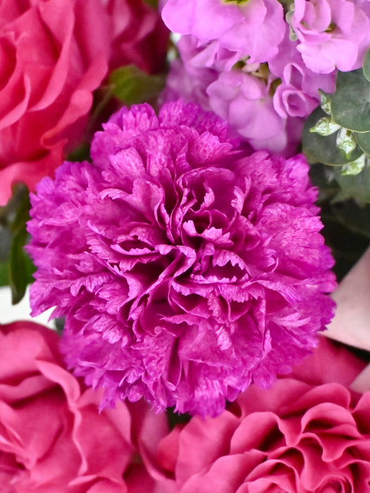 Lilac Country Blues