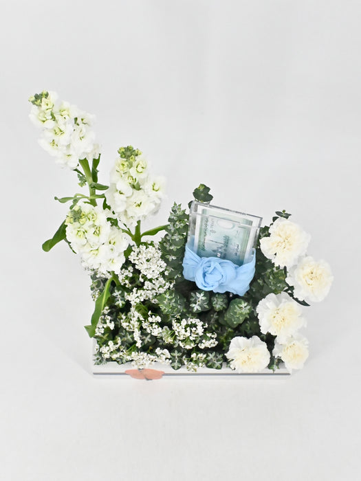 Achillea Money Garden