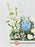 Achillea Money Garden