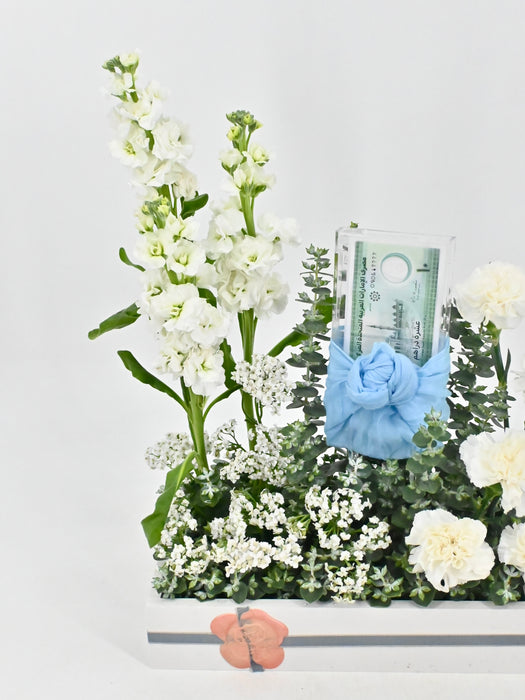 Achillea Money Garden