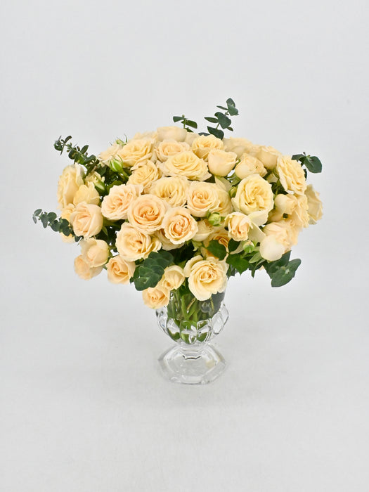 Sally Blooms