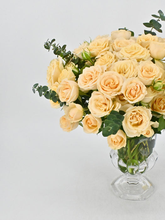 Sally Blooms