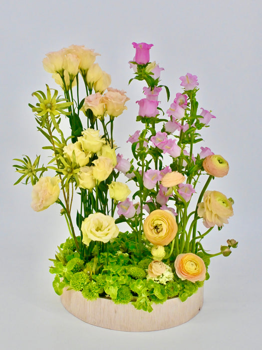 Mix Beauty Garden