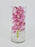 Cymbidium