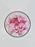 Cymbidium