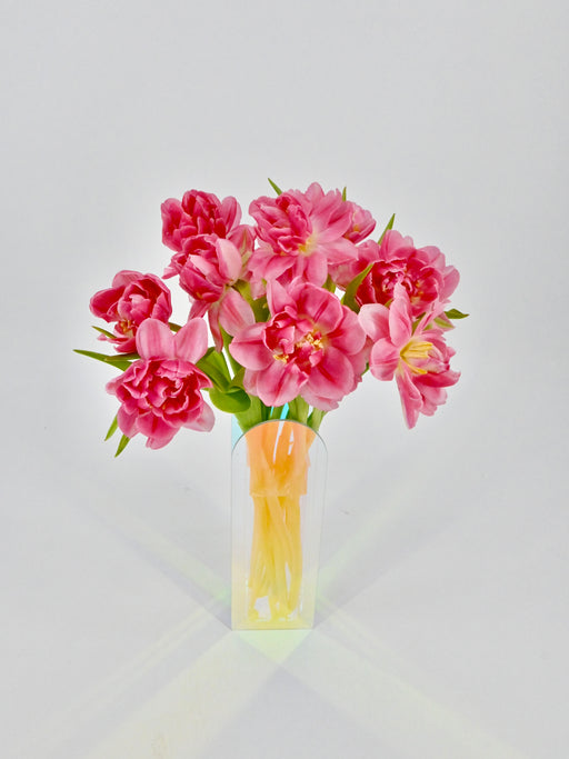 Tulip Double Foxtrot