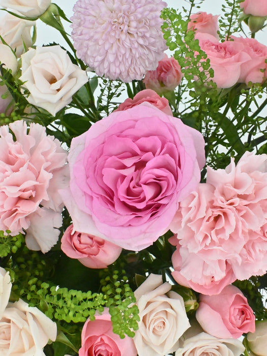 Pretty Pinks