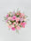 Pretty Pinks