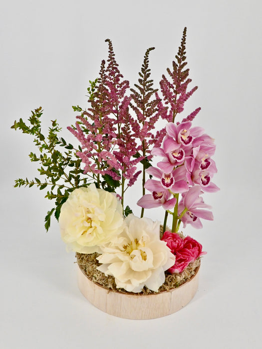 Vision Pink Beauty