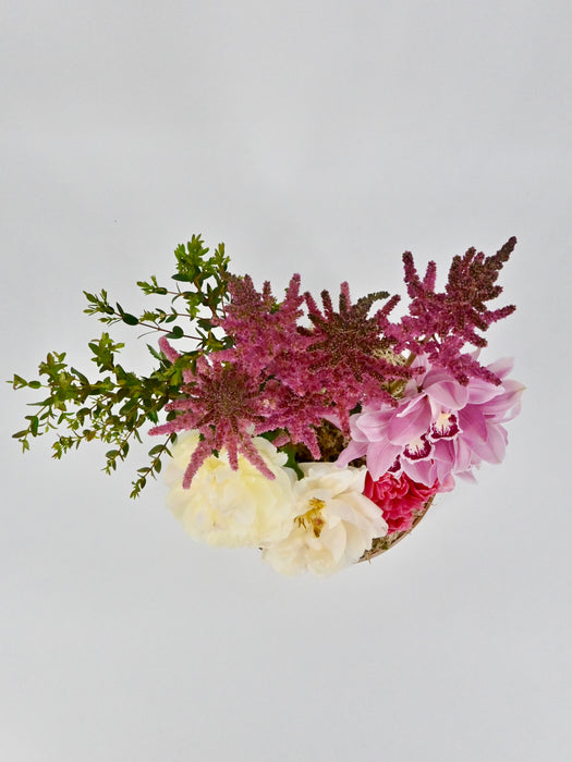 Vision Pink Beauty