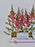 Astilbe Pink Money Arrangement