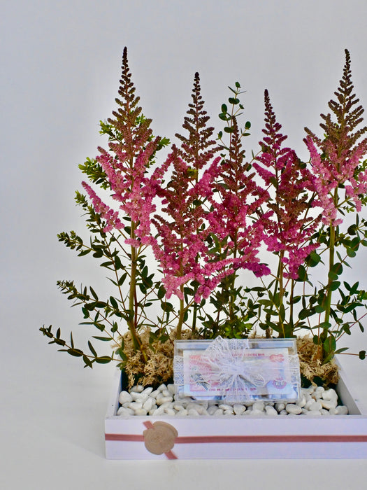 Astilbe Pink Money Arrangement