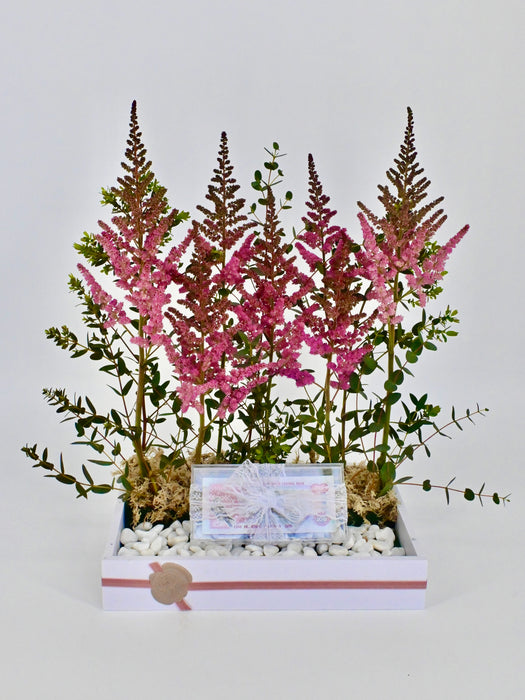 Astilbe Pink Money Arrangement