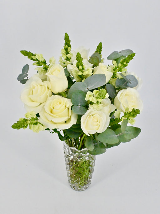 Maryland White