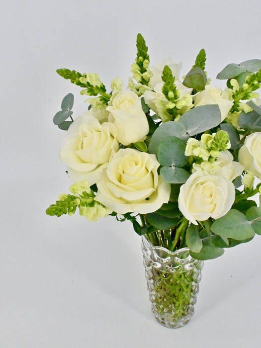 Maryland White