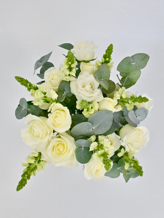 Maryland White