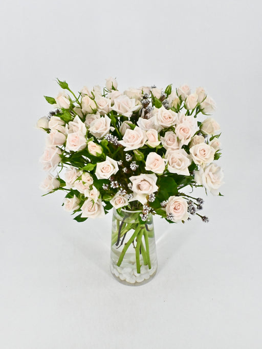 Porcelina Eleganza