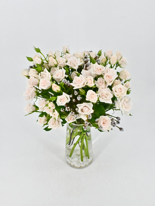 Porcelina Eleganza