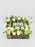 Mint Garden