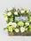 Mint Garden