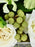 Mint Garden