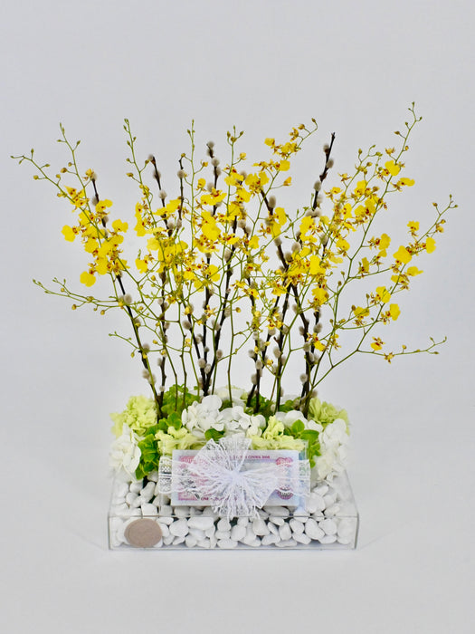 Oncidium Money Arrangement