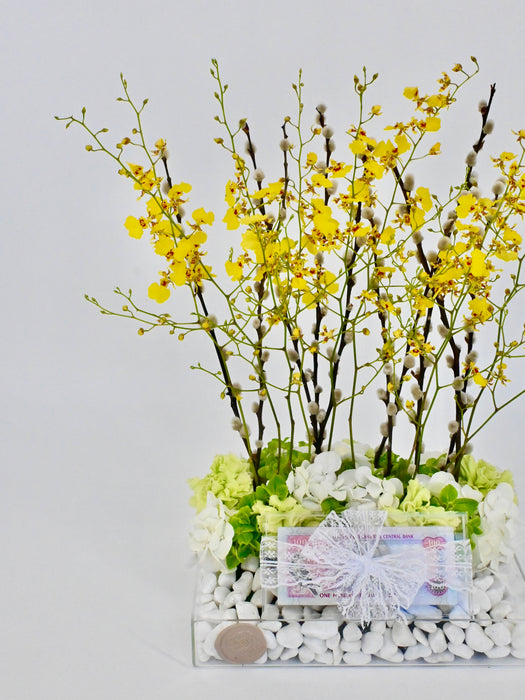 Oncidium Money Arrangement