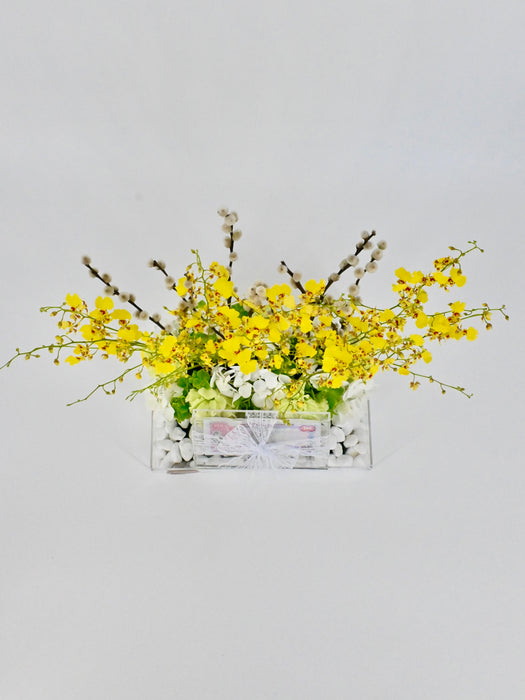 Oncidium Money Arrangement