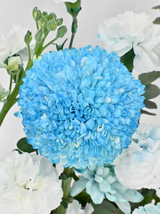 Tinted Blue