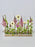 Snappy Garden