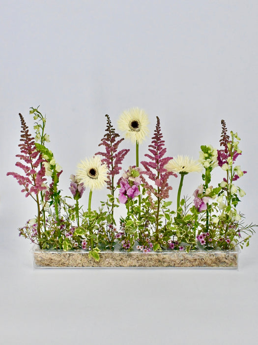 Snappy Garden