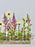 Snappy Garden