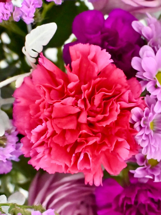Purple Blush