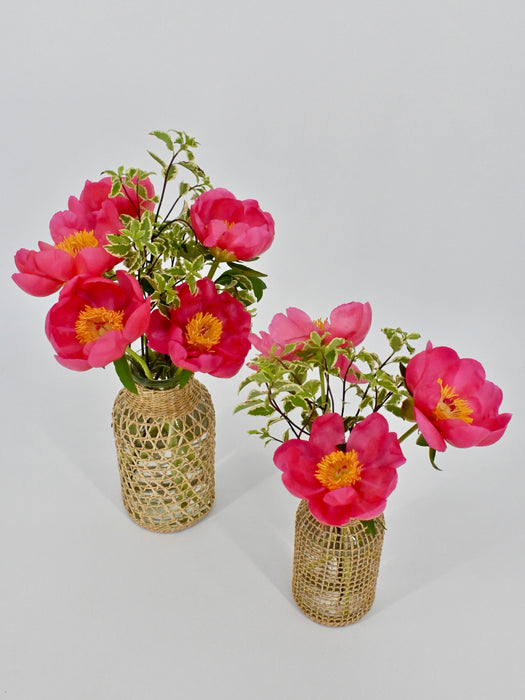 Coral Charm