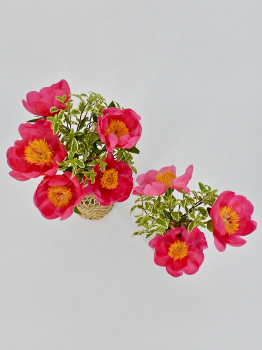 Coral Charm
