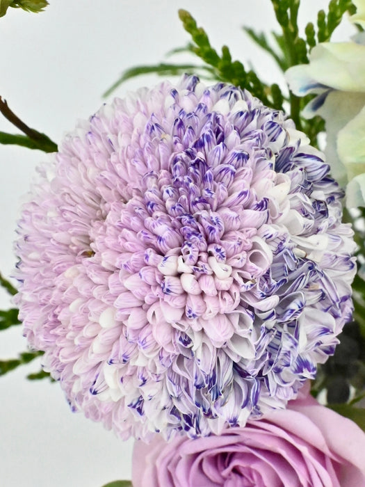 Soft Purples