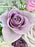 Soft Purples