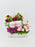 Lissie Money Garden