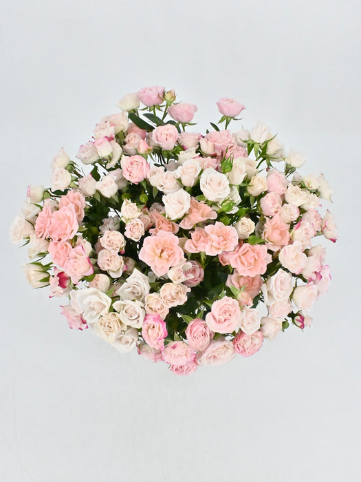 Bundle of Joy