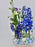 Hyacinth Manhattan